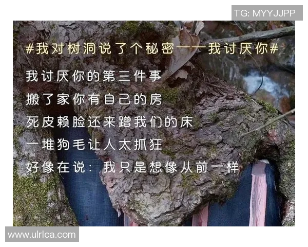 足球明星如何在关键时刻维护与粉丝的深厚情感与互动场面揭秘