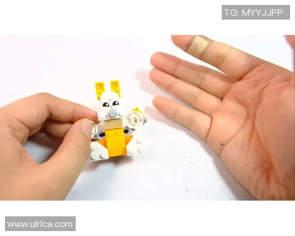 乐高篮球明星整套玩具畅玩体验与创意拼搭指南